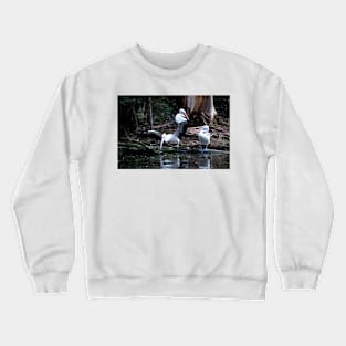 Call That A Take Off! Crewneck Sweatshirt